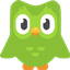 oops there's a homicidal duolingo bird logo