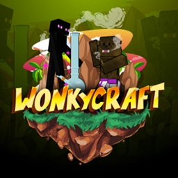 WonkyCraft project image