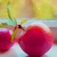 Plums Pack logo