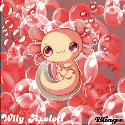 Axolotl in one.sixteen logo