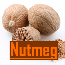 Nutmeg - Casual Pack logo