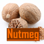 Nutmeg - Casual Pack logo