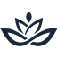 Solleus Resources logo