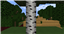 X-Craft logo