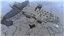 Prometheus logo