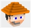 Voxel Player Models logo