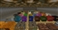 Texture Pack Tester logo