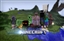 monkeyscolorscraft logo