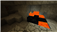 Harrysbird Texture Pack logo
