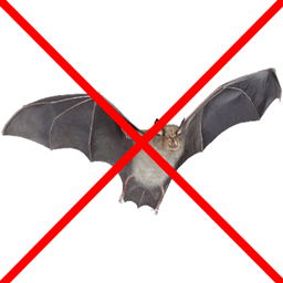 No Bat project image