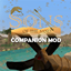 SotS companion mod logo