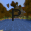 Preserve logo