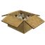 Experience Boxes logo