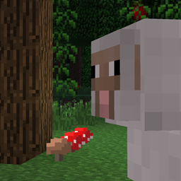 Pachy Pack logo