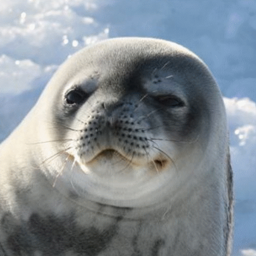 PsychoticSeal Pack