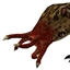 SquidCraft - Bullsquid Discord. logo