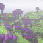 Aesthetics logo