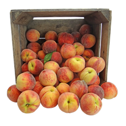 Peach Orchard