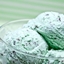Mint Chocolate logo