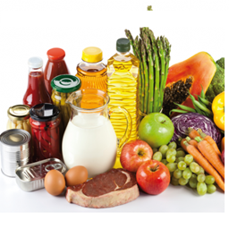 More Normals Foods project image