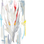 Saecularia logo