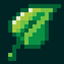 The Rainforest logo
