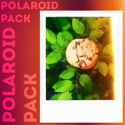 Polaroid Pack