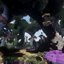 GardenMC Survival Modpack logo