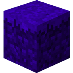 Survival+ project image