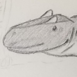 Mesozoic project image
