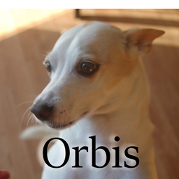 Orbis SMP Mods logo