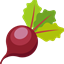 The Beetroot Project logo