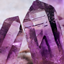 Crystal Biome logo