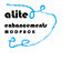 ALite Enhancements logo