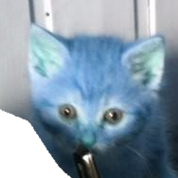 blue cat modpack