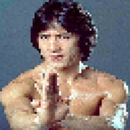 Jackie Chan`s weapon logo