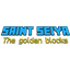 Saint Seiya The Golden Blocks logo