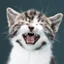 CatLib logo