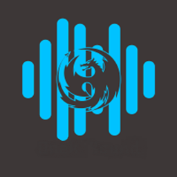 Dreki's Tech logo
