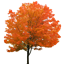 Realistica Craft logo
