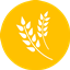 FarmingPlus logo