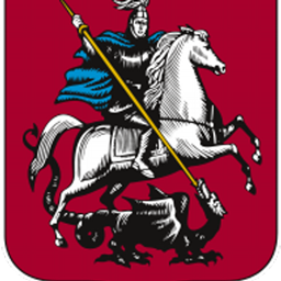 Mittelalterlicher Server logo
