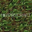 MilitaryCraft logo