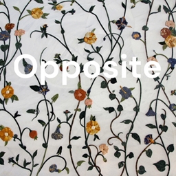 Opposite zings project image