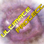 Ultimate Protect logo