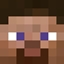 New Age - Enhanced Survival logo