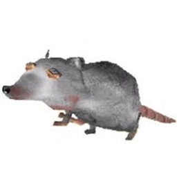Ratpackpack pack