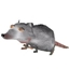 Ratpackpack pack logo