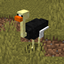 The Lost Biomes logo