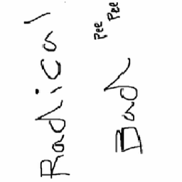 Radical VR logo